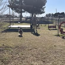 Silliman Dog Park